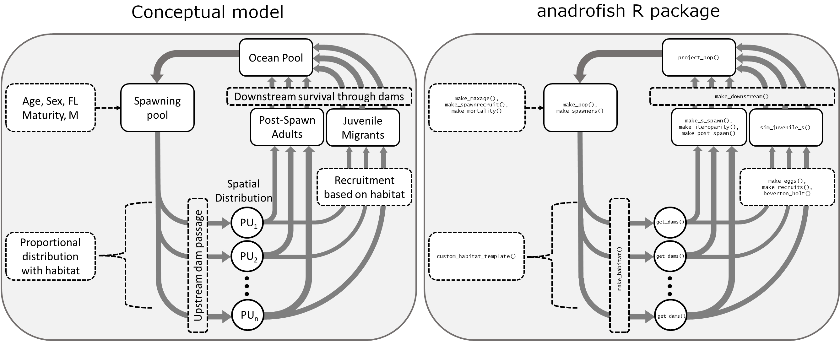 Graphical overview of the anadrofish workflow (right) compared to conceptual life-history model for anadromous fishes (left). Helper functions are used within the sim_pop() function along with built-in data sets to simulate anadromous fish populations.